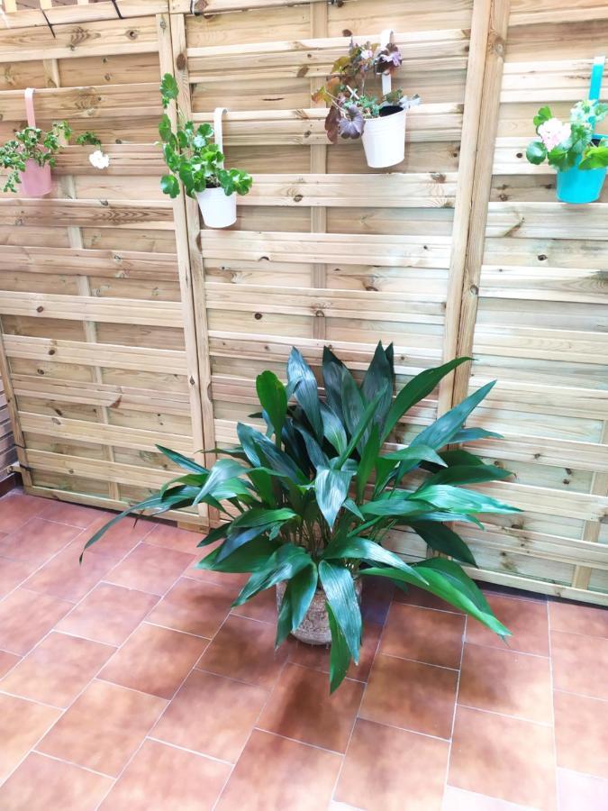 Apartamento Poniente Con Dos Banos Muy Centrico 6 Personas Logrono Ngoại thất bức ảnh